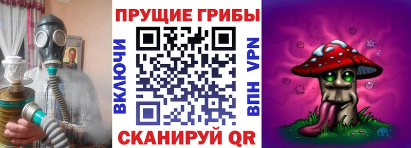 Галлюциногенные грибы прущие грибы  купить  цена  Тында 